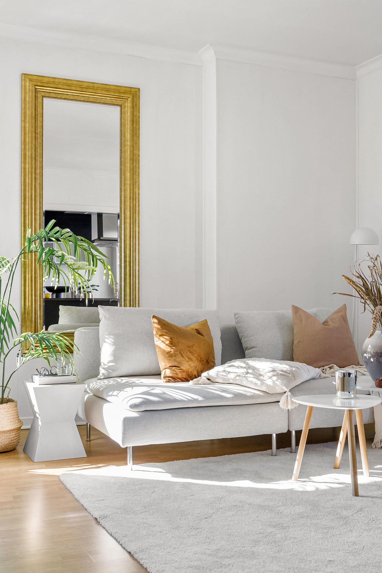 Photo professionnelle